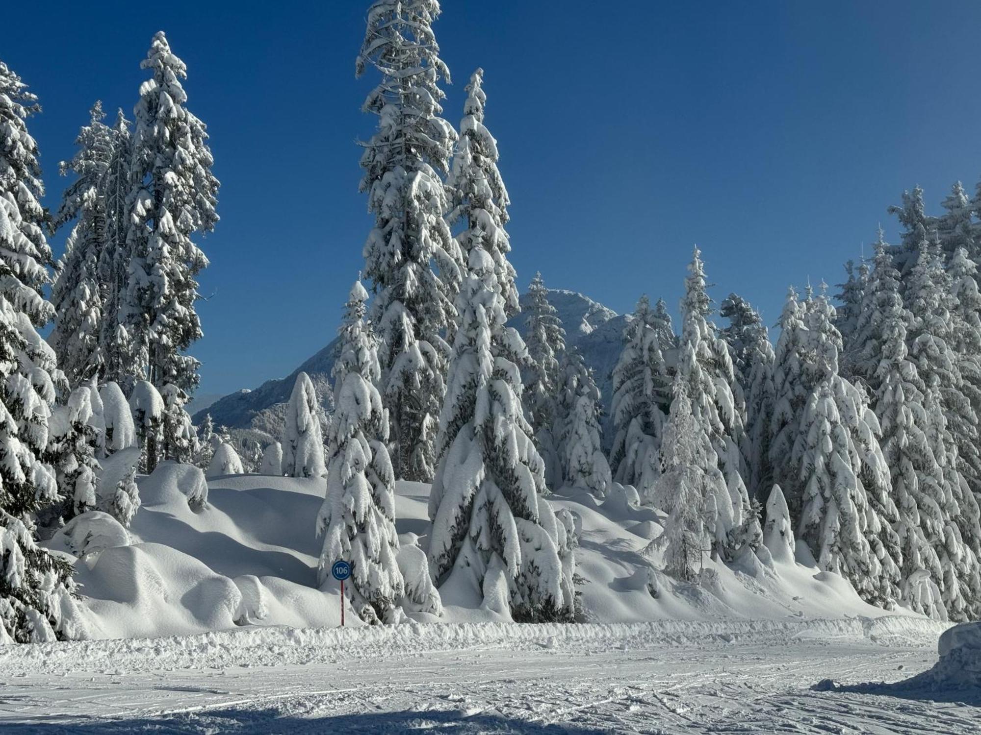 Appartement Erler Sankt Johann in Tirol Buitenkant foto