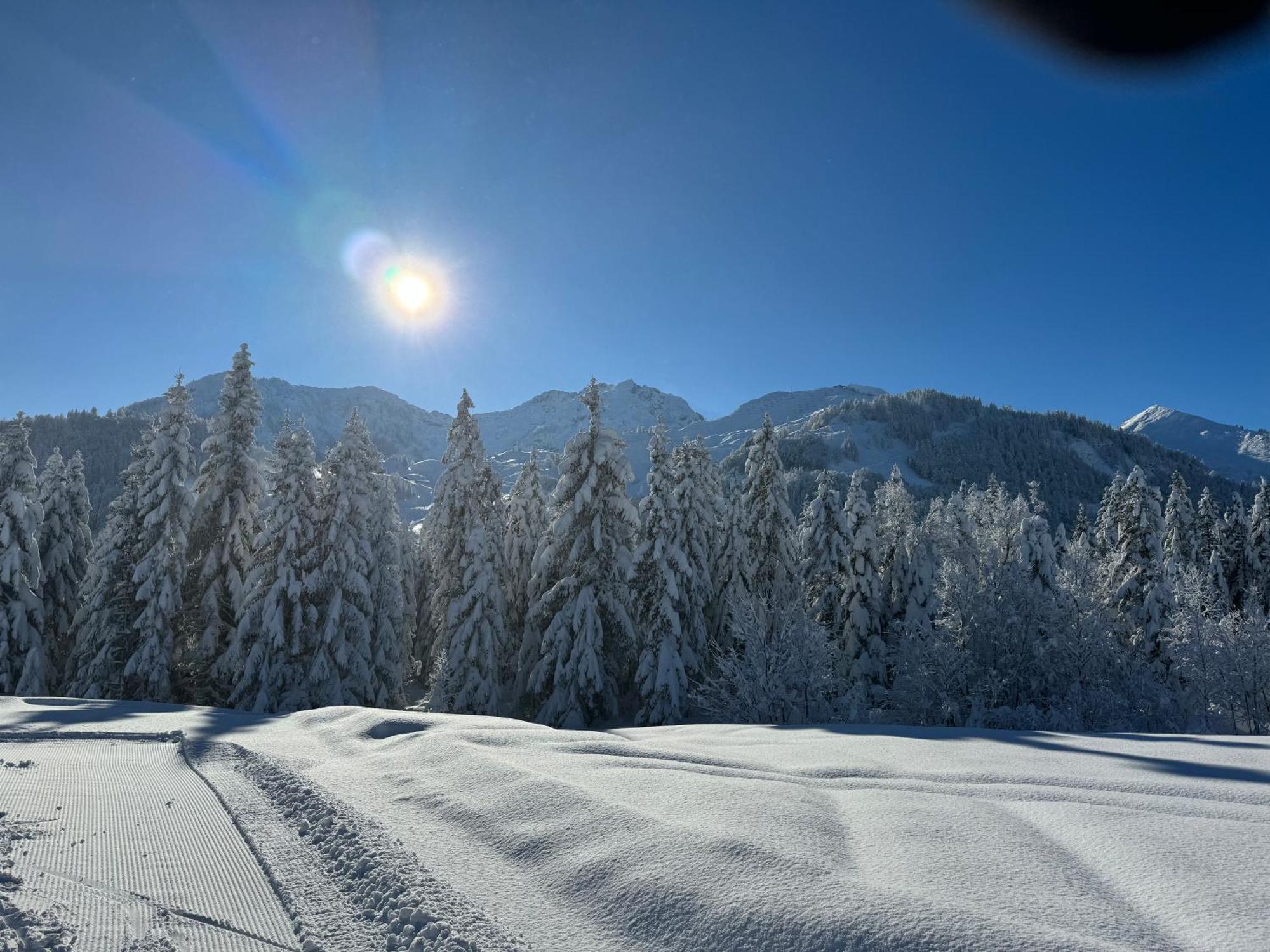 Appartement Erler Sankt Johann in Tirol Buitenkant foto
